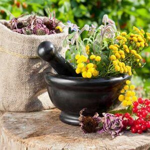 herbs to treat papillomas